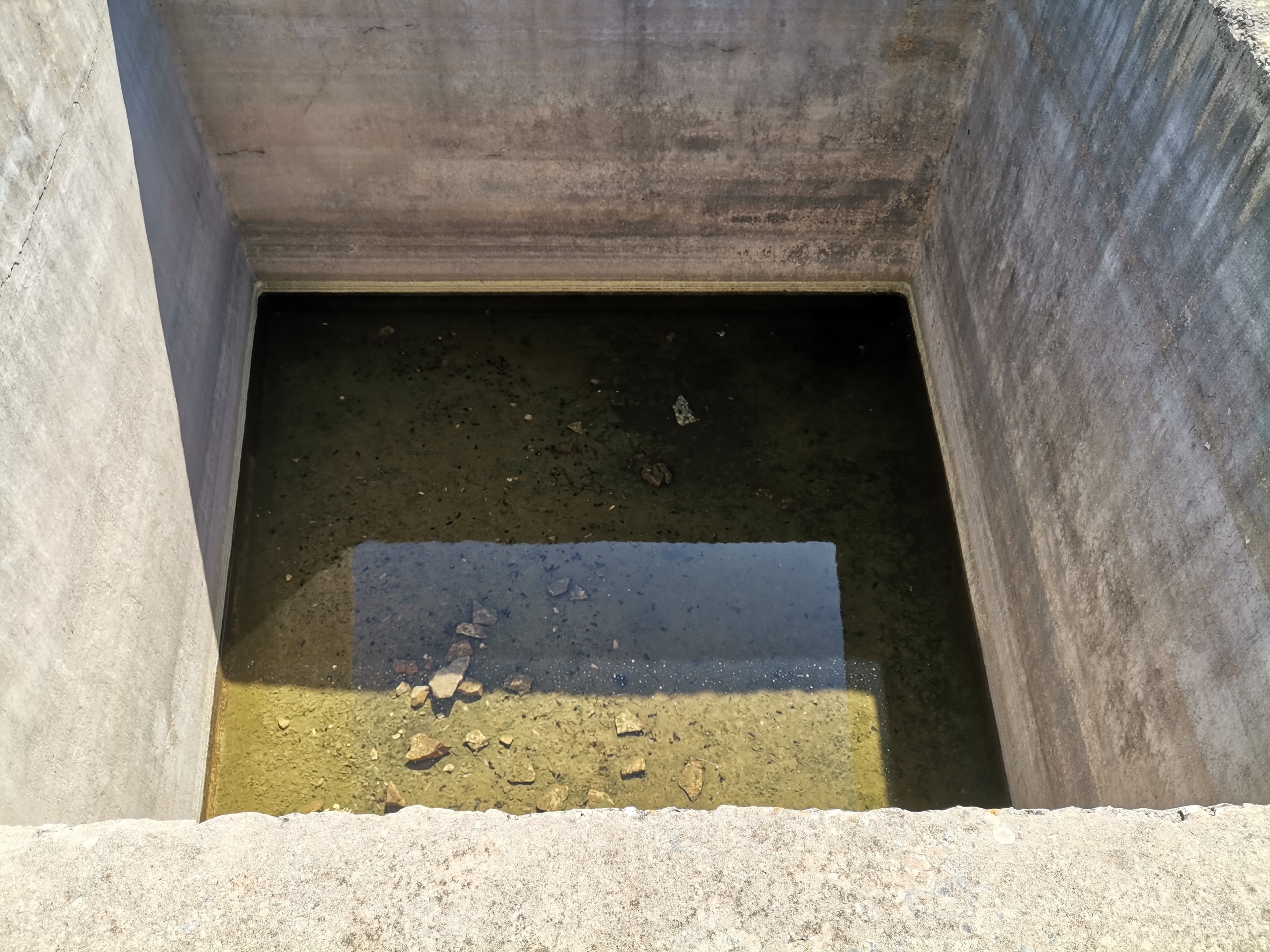 Gustrina 3 — 2