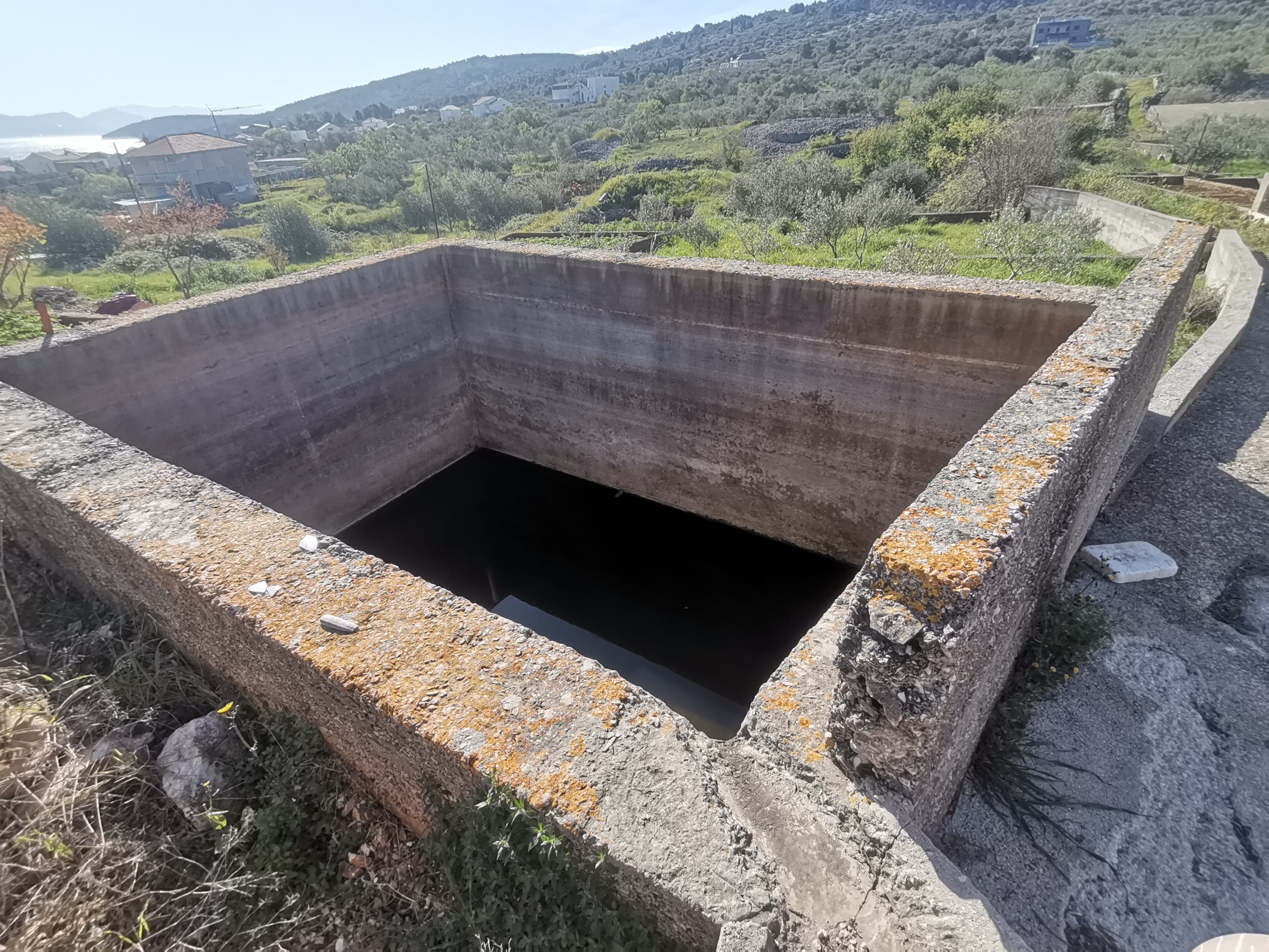 Gustrina 5 — 2