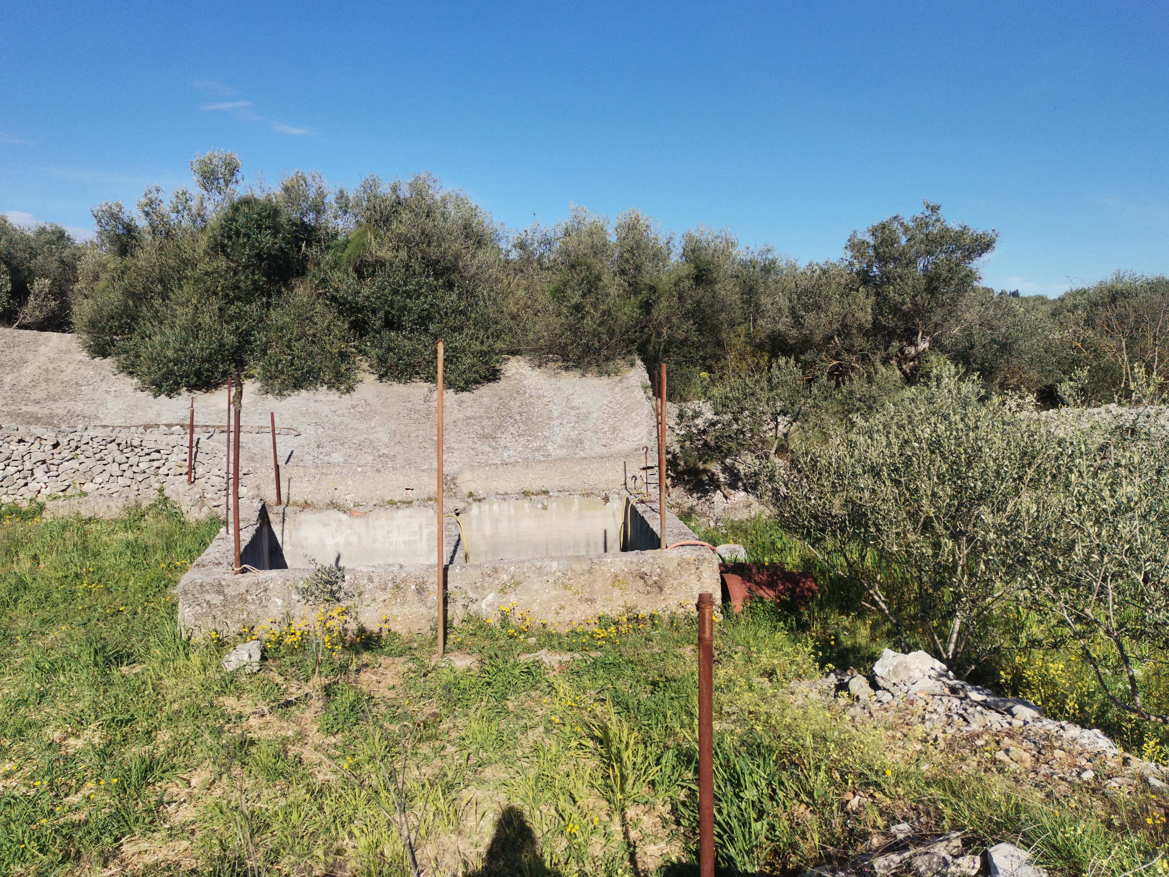 Gustrina 8 — 1