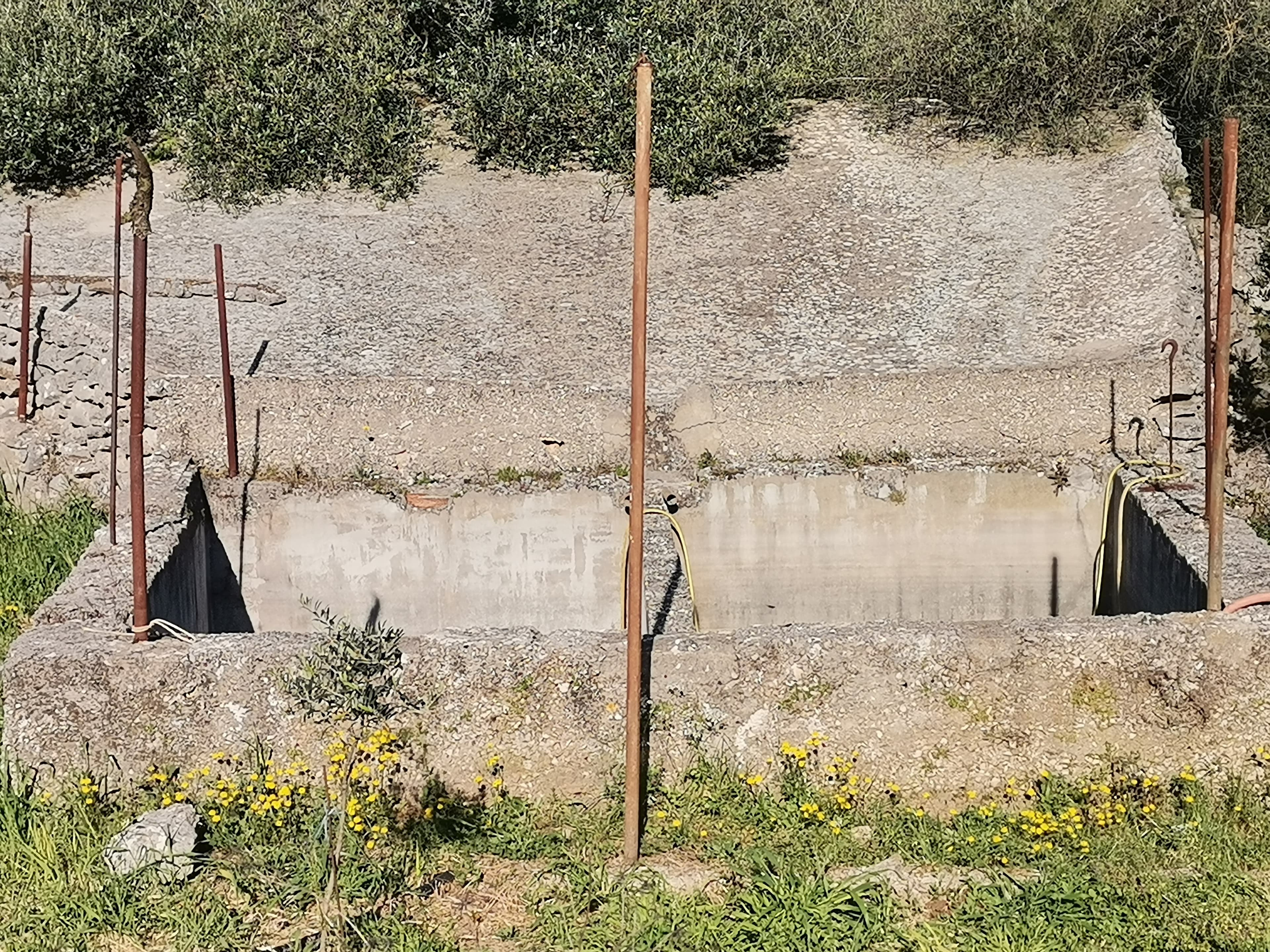 Gustrina 8 — 2