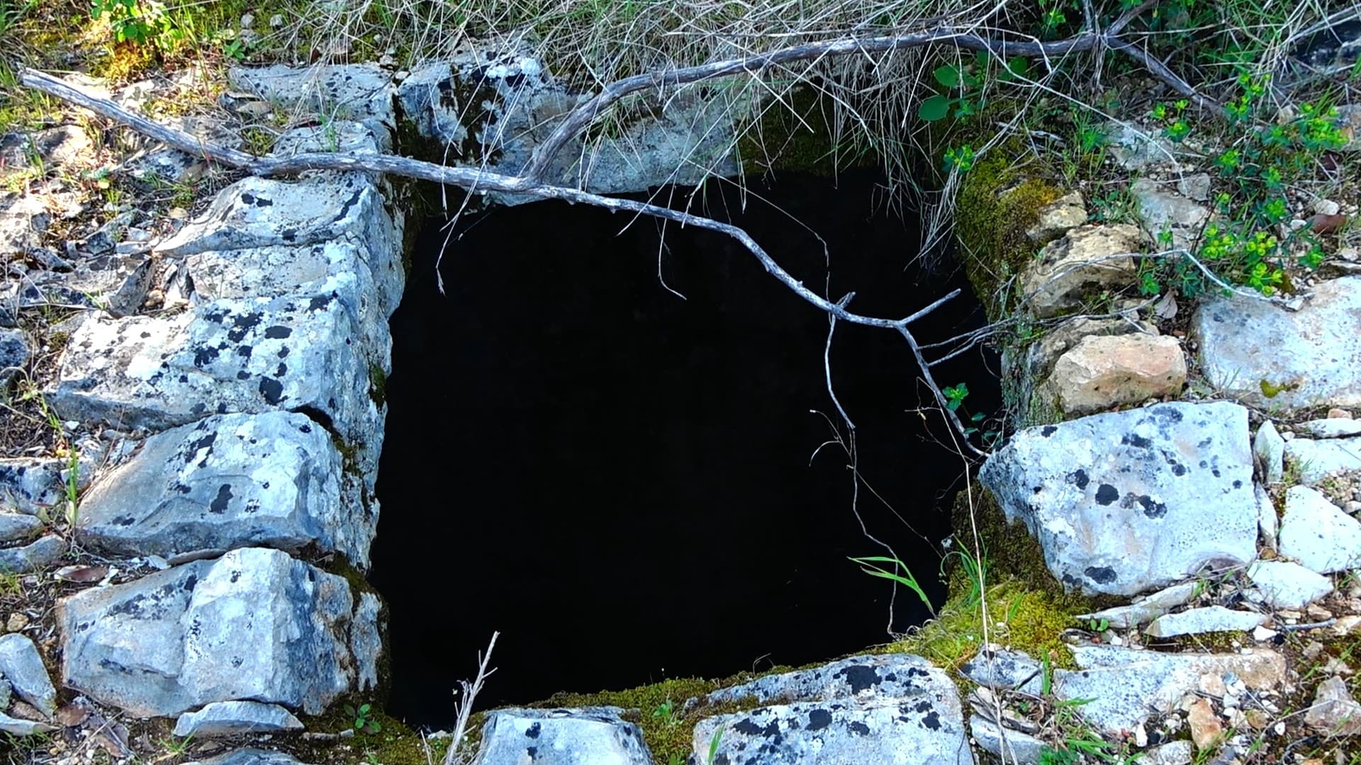 Pucalina — 2