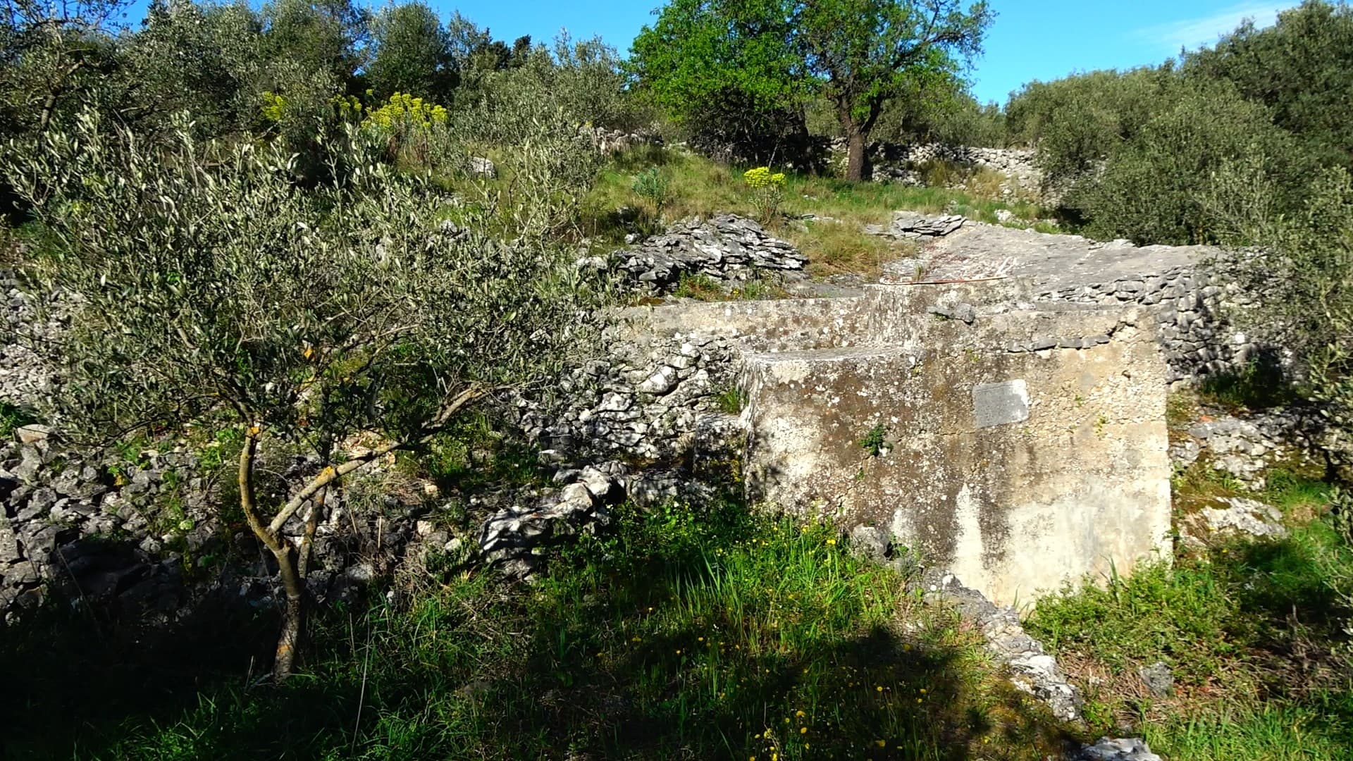 Gustrina 1 — 1
